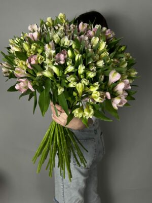 Букет из 51 Альстромерии