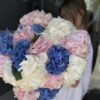 17 Гортензий микс 17 Гортензий микс