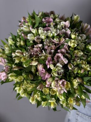 Букет из 51 Альстромерии