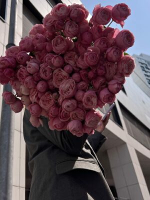 Кустовая пионовидная роза Silva pink