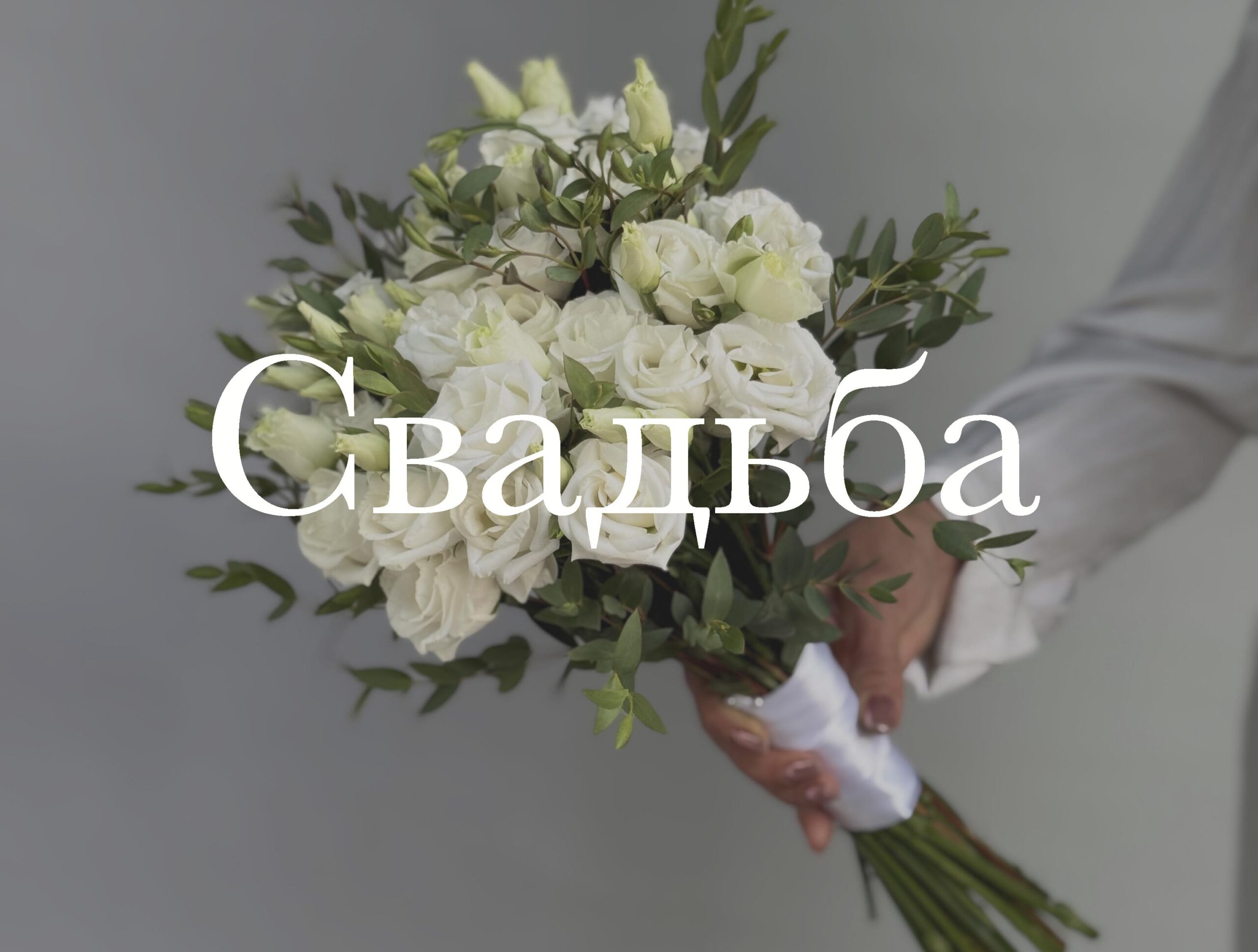 Главная