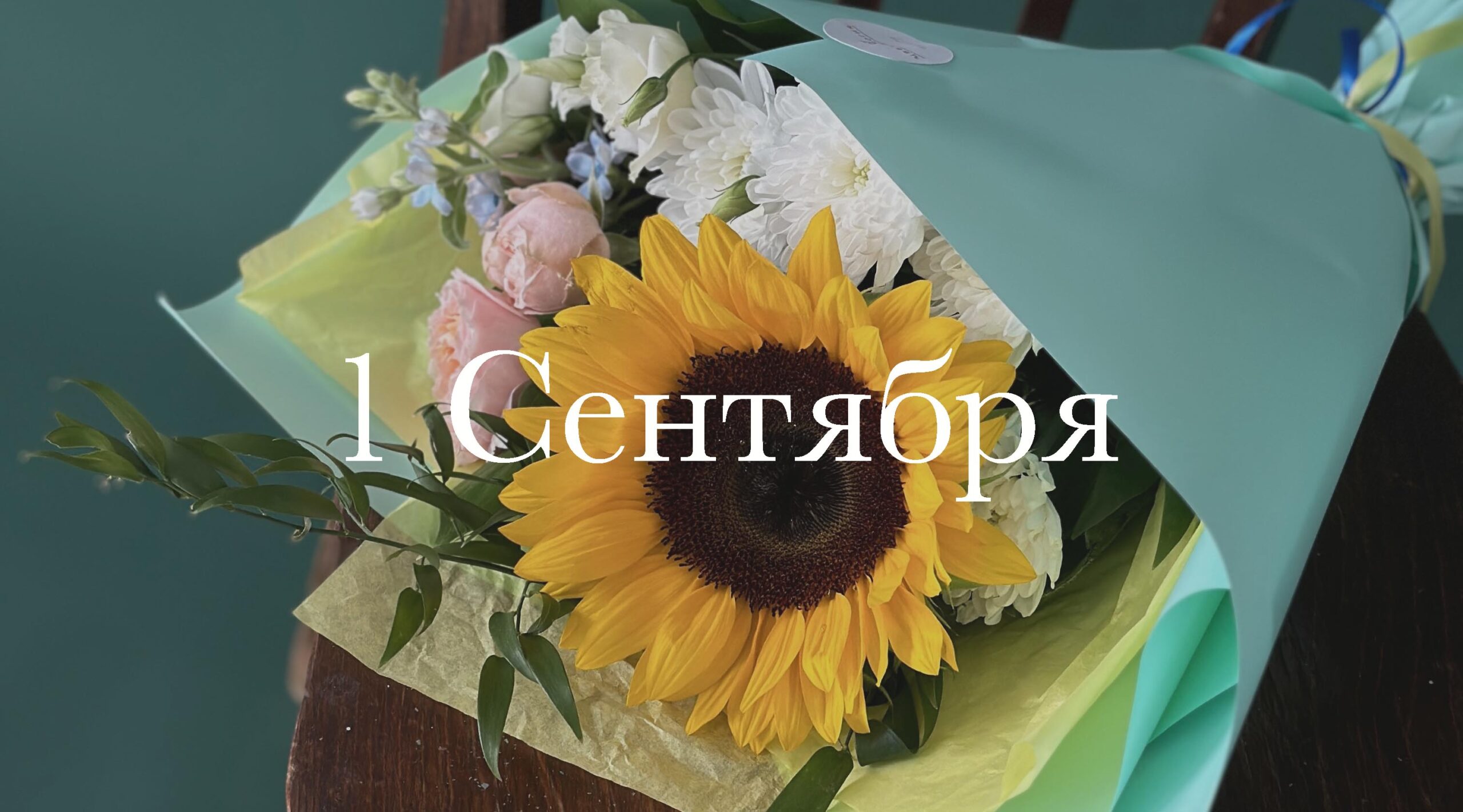 Главная