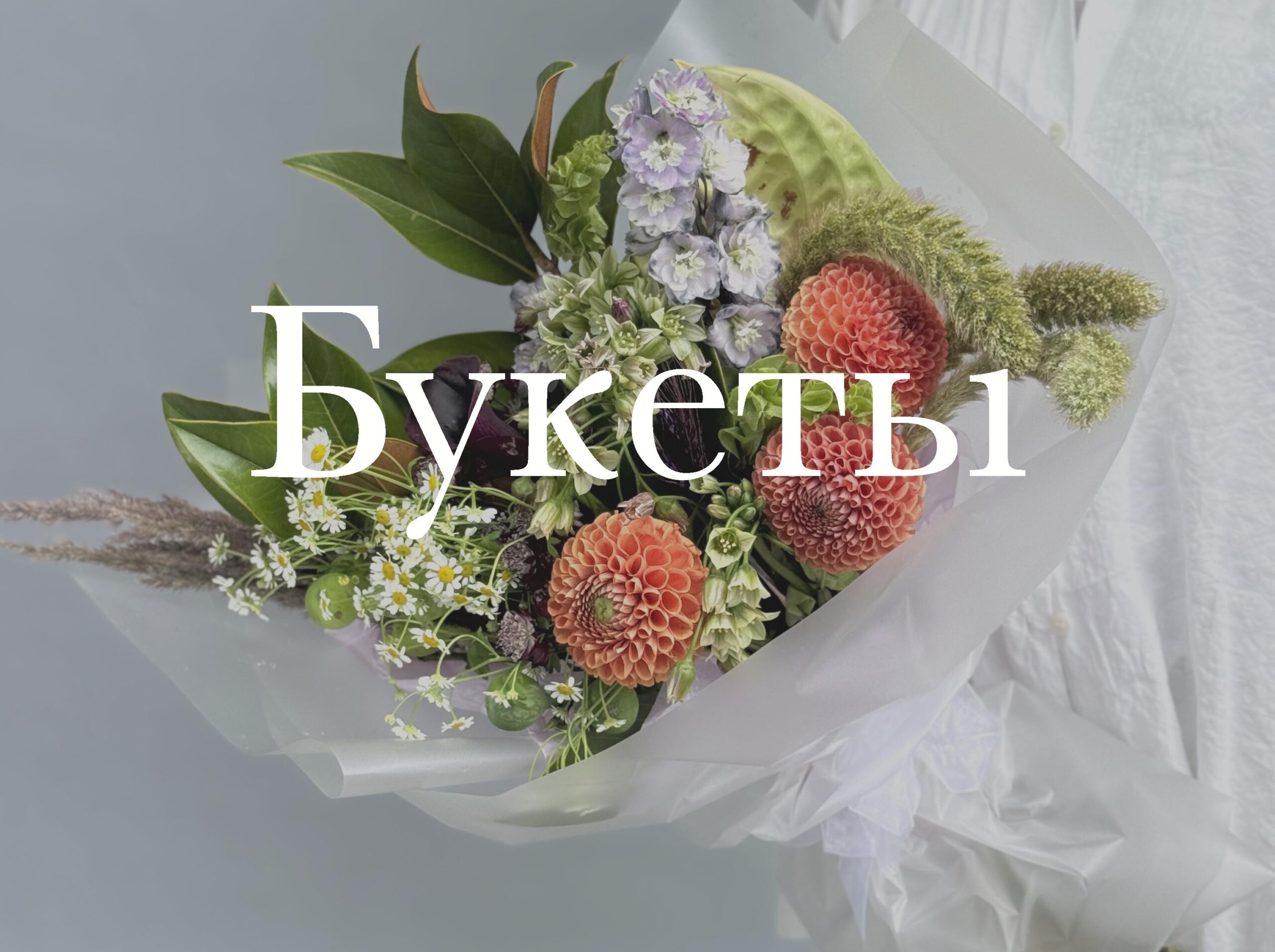 Главная