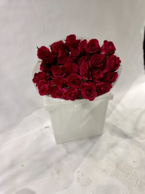 Роза Эквадор красного цвета 25шт в упаковке