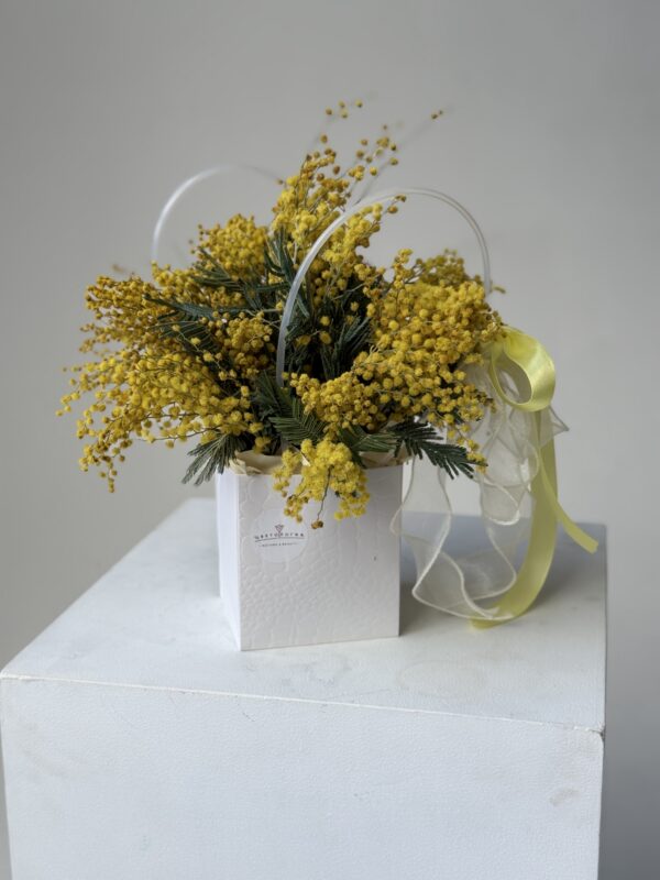 Композиция из мимозы