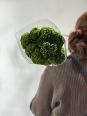 Гвоздики Green Trick 9шт в упаковке