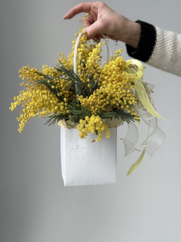 Композиция из мимозы
