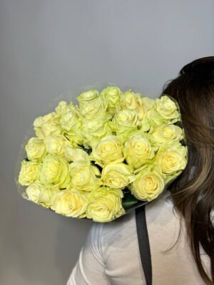 Mondial 60 cm Mondial 60 cm