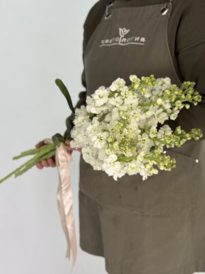 Упаковка (9шт) Белых Маттиол