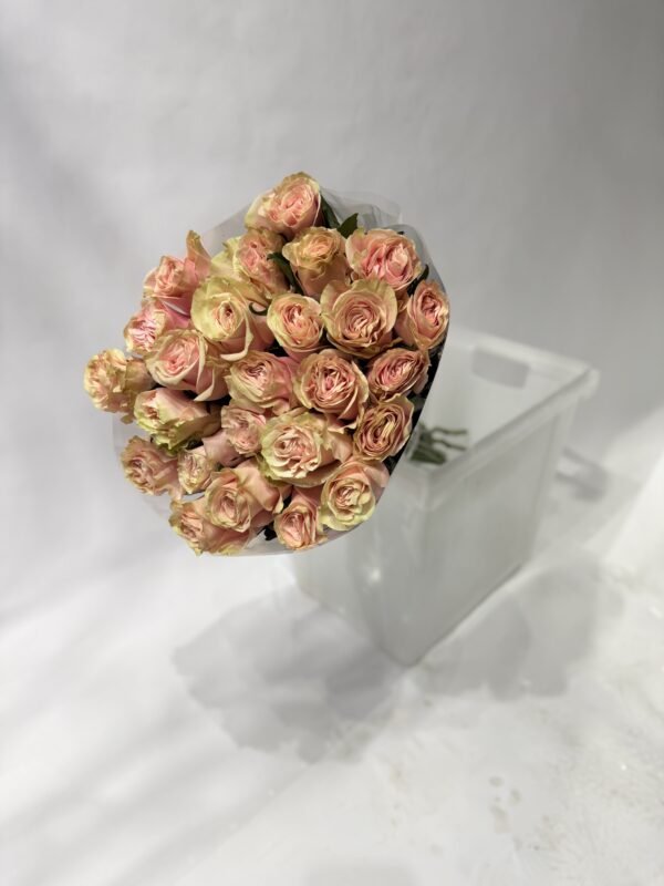 Роза эквадор 25шт в упаковке Роза эквадор 25шт в упаковке