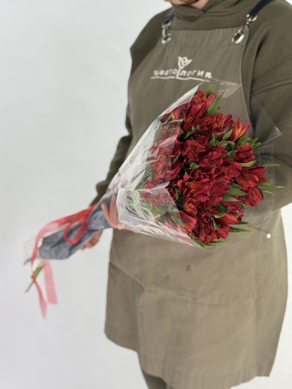 Альстромерия пачка 10 шт