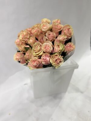 Упаковка (25шт) роз 60-70 cm