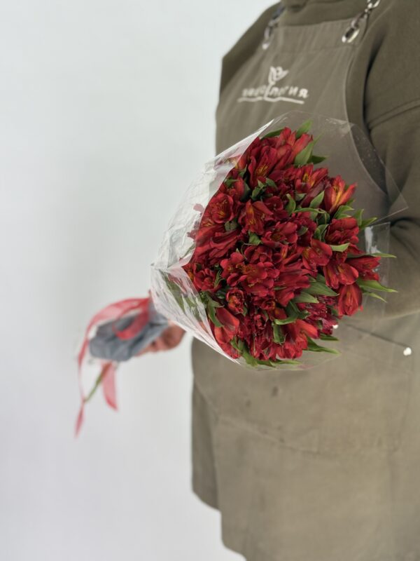 Альстромерия пачка 10 шт