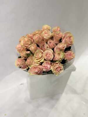 Роза эквадор 25шт в упаковке