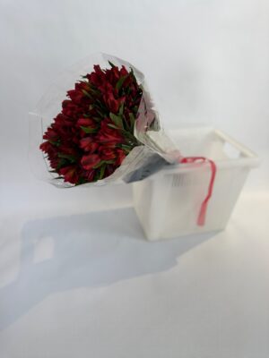 Альстромерия пачка 10 шт Альстромерия пачка 10 шт