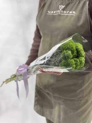 Упаковка Green Trick (9шт)