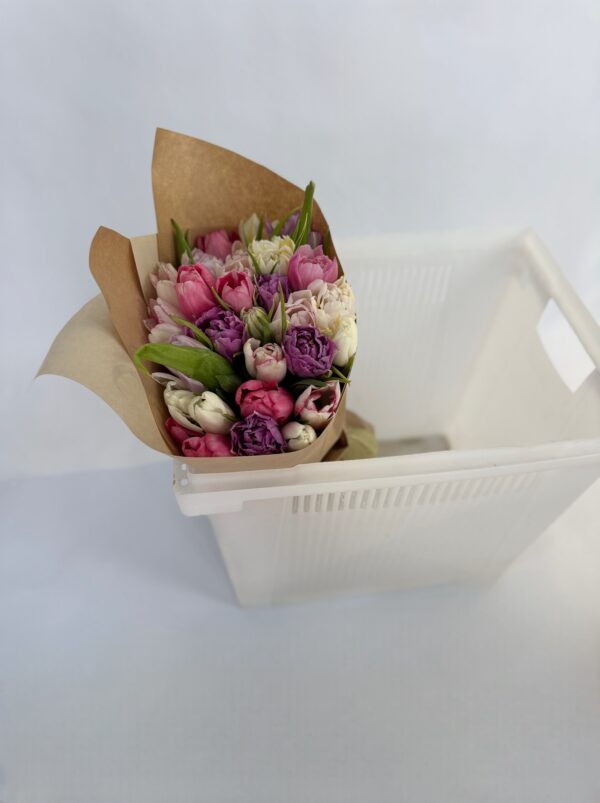 Тюльпаны микс 25 шт под ленту в крафте