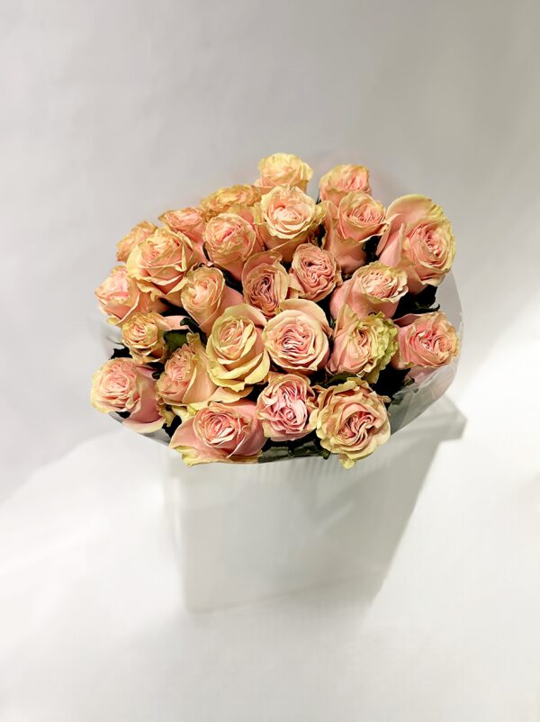 Роза эквадор 25шт в упаковке