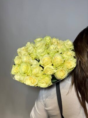 Mondial 60 cm Mondial 60 cm