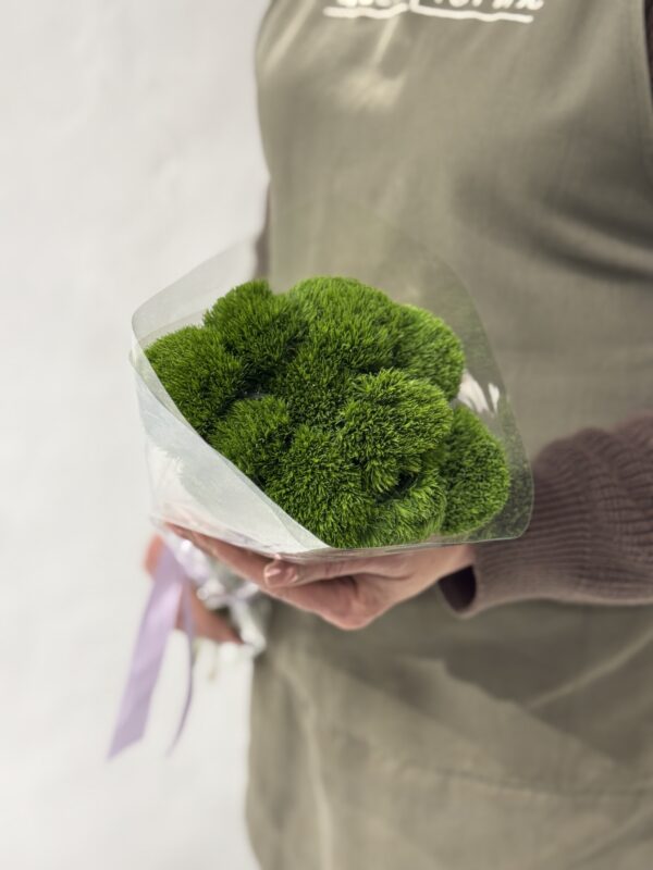 Гвоздики Green Trick 9шт в упаковке