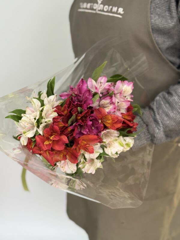 Микс 9 альстромерий импорт (под ленту в упаковке)