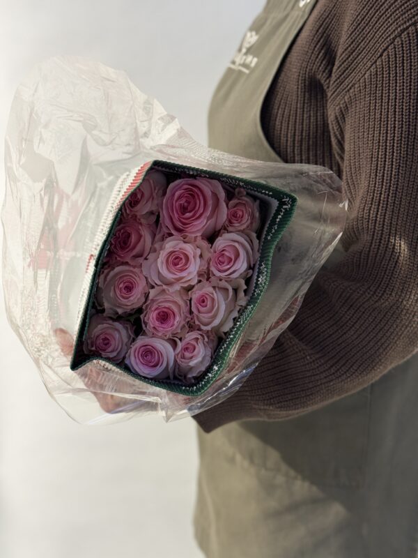 Эквадор 25 шт