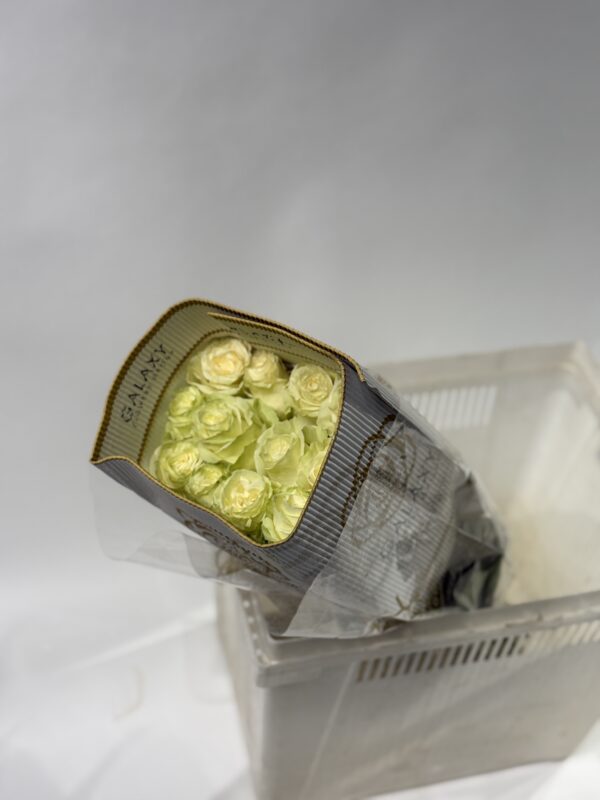 Эквадор 25 шт