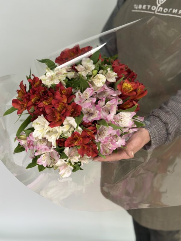 Микс 9 альстромерий импорт (под ленту в упаковке)