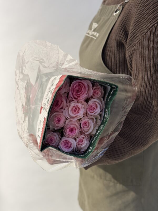 Эквадор 25 шт