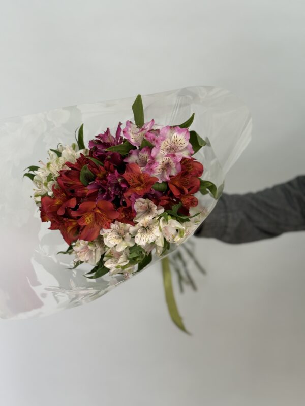 Микс 9 альстромерий импорт (под ленту в упаковке)